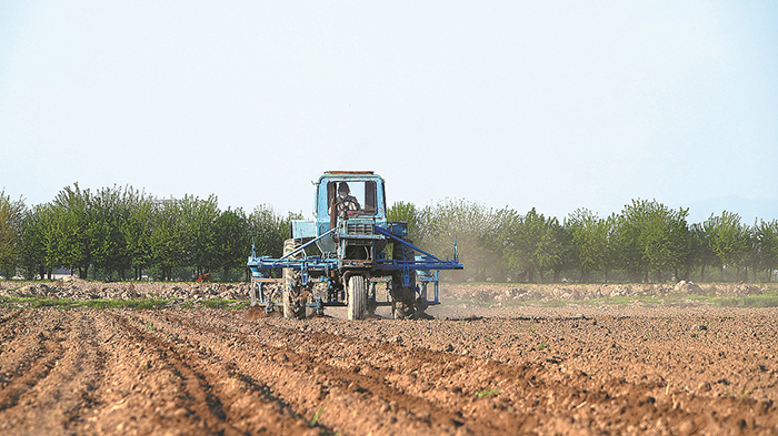 CHINA DAILY:Uzbekistan benefits from the arrival of Chinese agricultural technologies