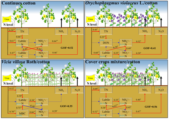 Study reveals theeffects mechanism of different types of green manure affecting soil gaseous nitrogen emission