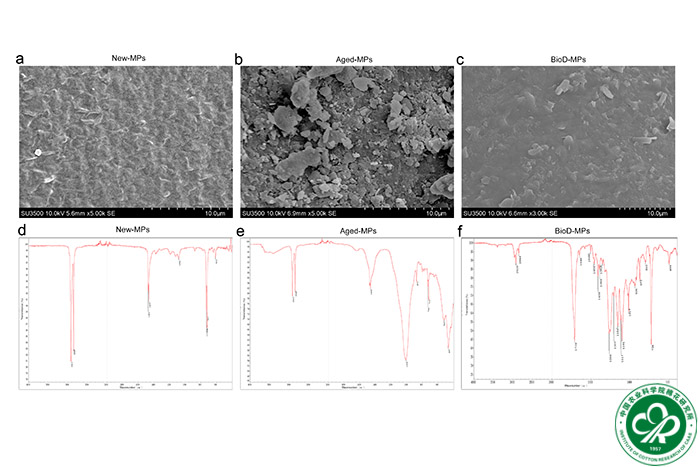 Study Reveals the Action Mechanism of Plastic Film Microplastics Causing Changes in Pesticide Adsorption and Degradation Processes