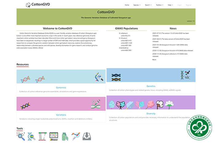 CottonGVD网站首页.jpg