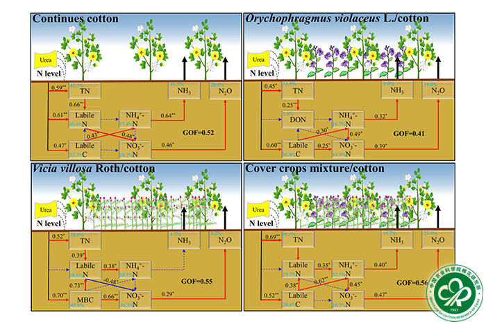 棉田套作不同类型绿肥下土壤碳氮组分与气态氮排放的结构方程模型-小.jpg