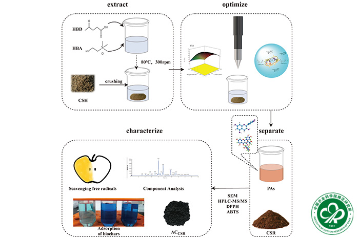 基于超声辅助DES从棉籽壳中提取高附加值多酚-小.jpg