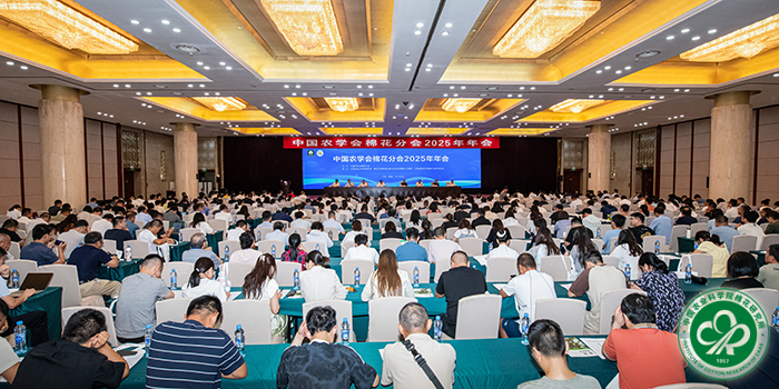 1.会议现场xiu.jpg