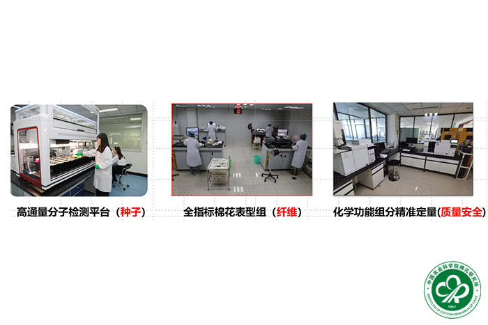 拼图4xiu.jpg
