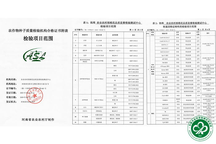 拼图2xiu.jpg