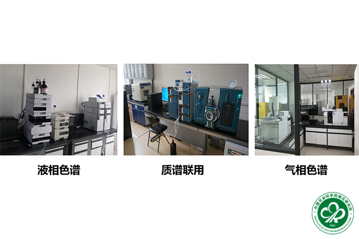 拼图6xiu.jpg