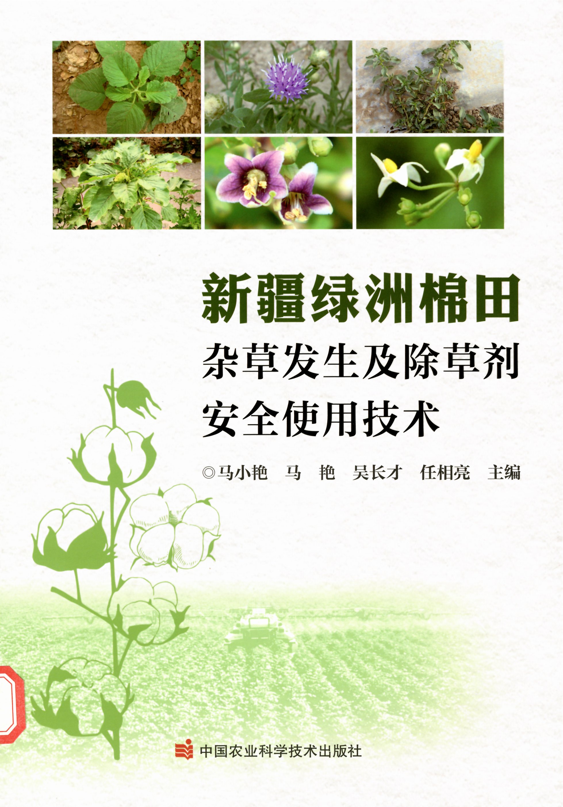 unpub_80945b2a073f42a5b889f7983bfcda0d.jpg