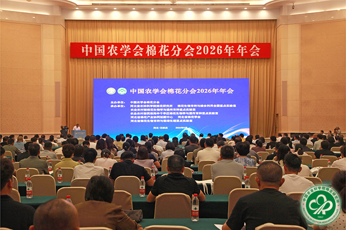 会议现场xiu.jpg